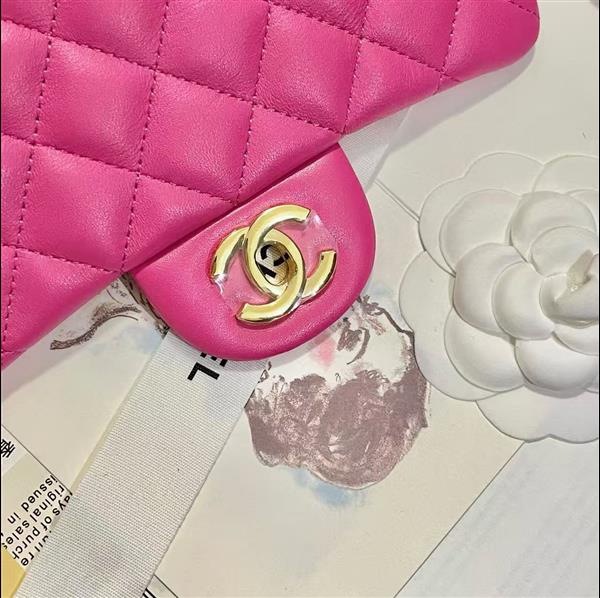 2026127205647384 380